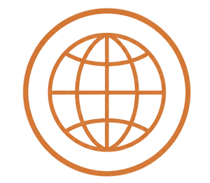 Global icon